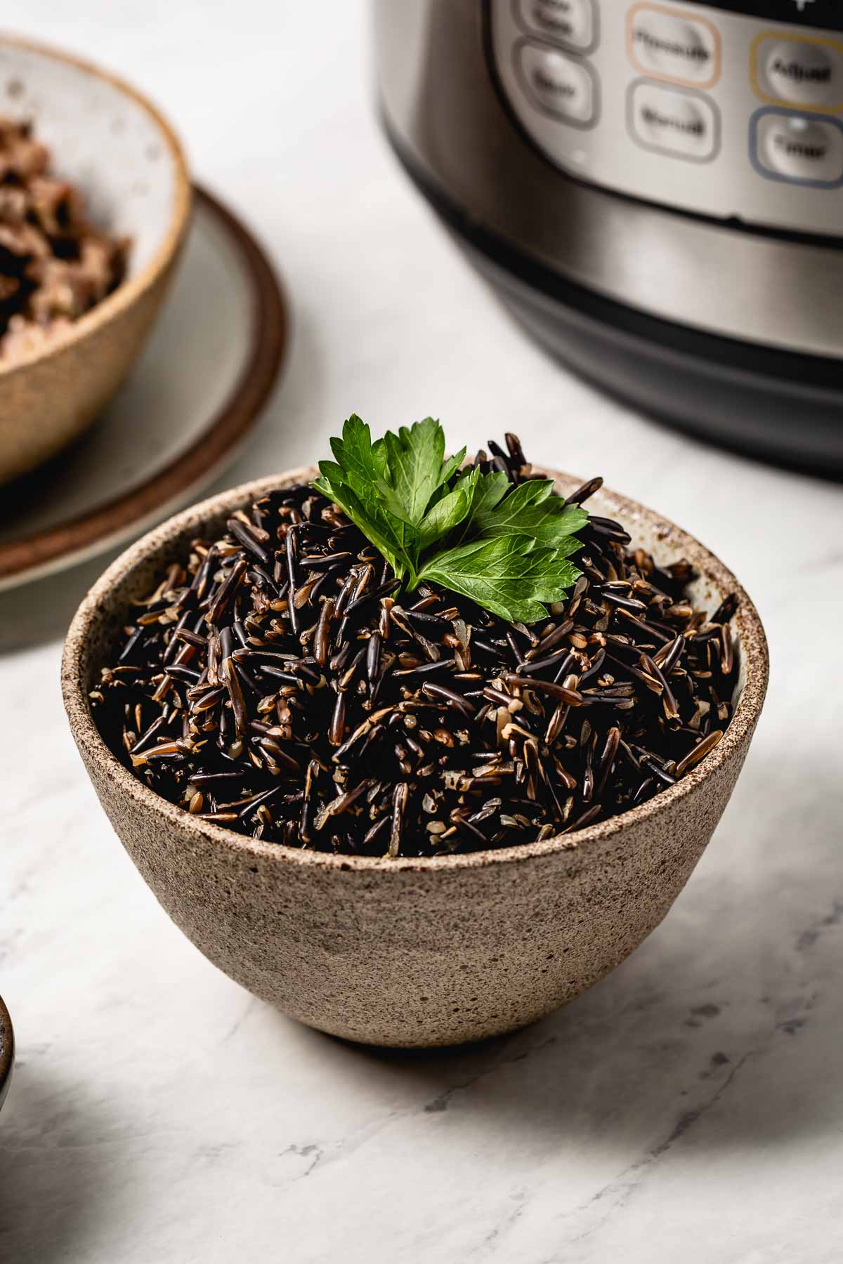 How to Make Wild Rice in a Rice Cooker: Easy Tips & Cooking Time Guide