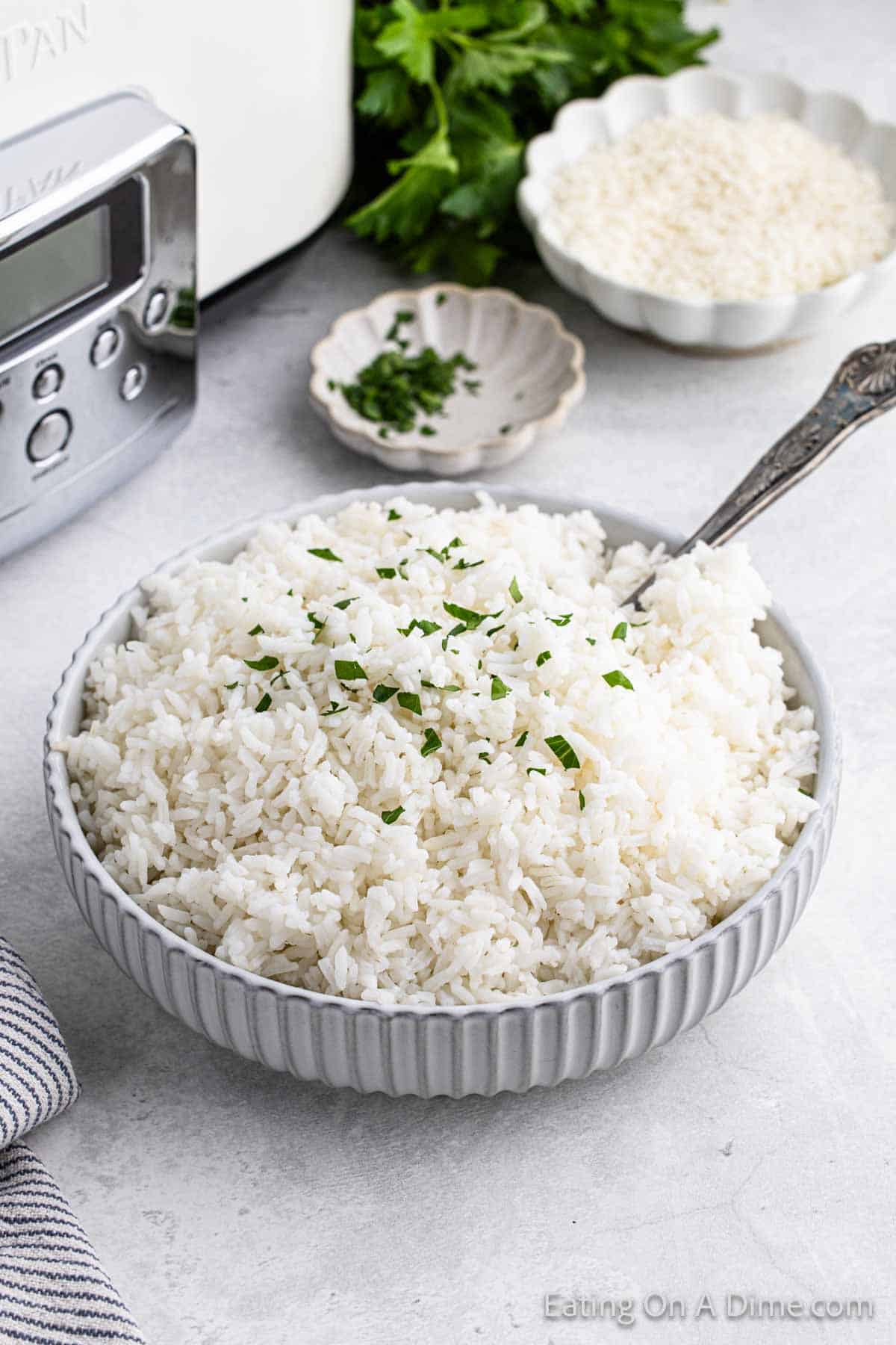 How Long Does Rice Take in Crock Pot? Tips for Perfect Slow Cooker Rice Every Time