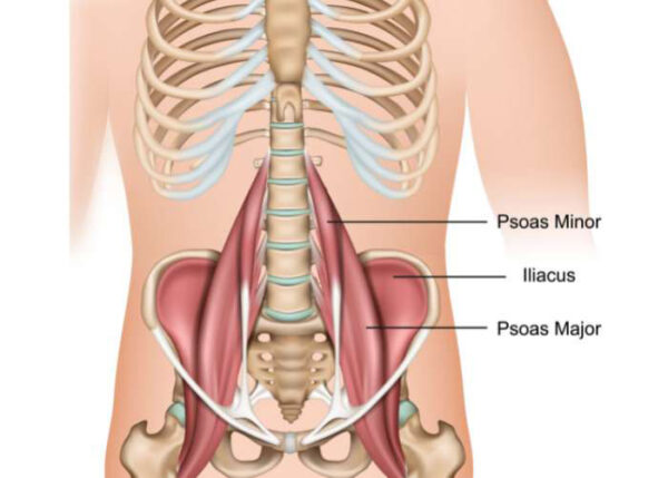 Psoas Muscle Rupture Recovery: Symptoms and Treatment Options for Hip Pain Relief