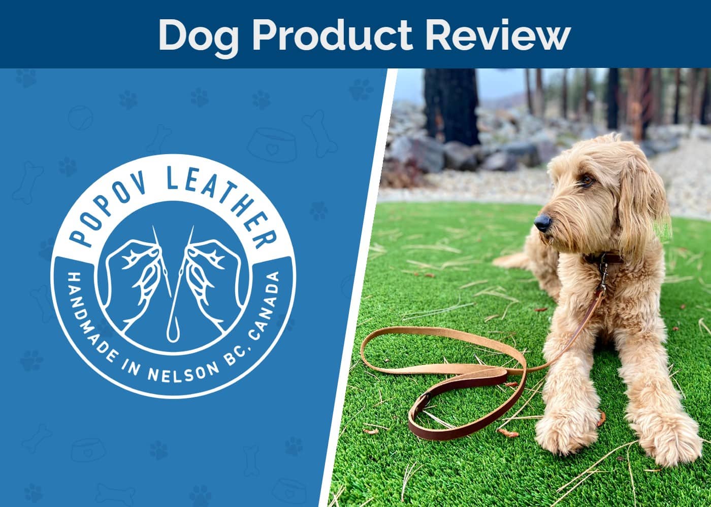 Popov Review: Honest Opinions & Key Highlights
