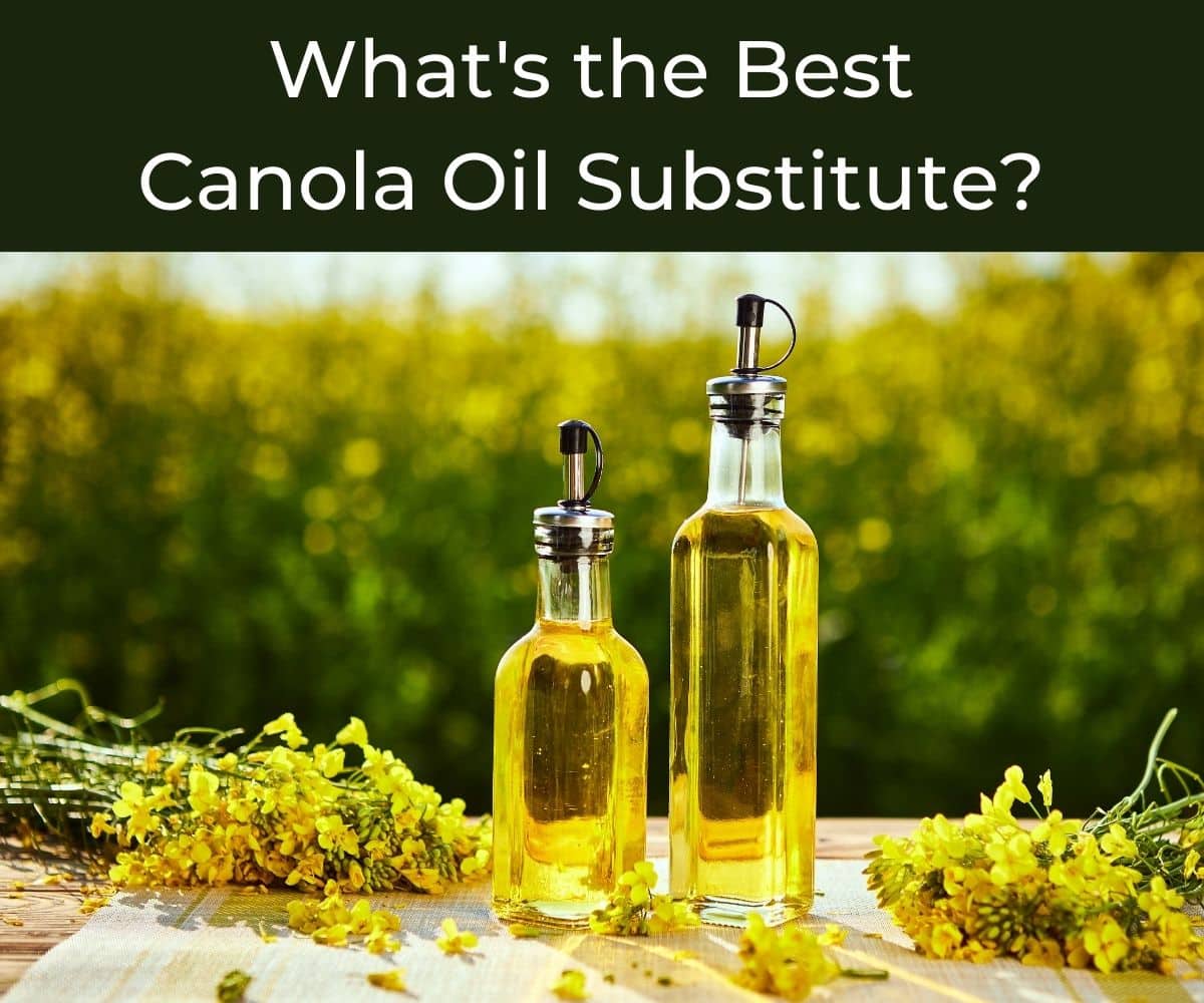 Best Alternative to Canola Oil for Baking: Top 5 Picks