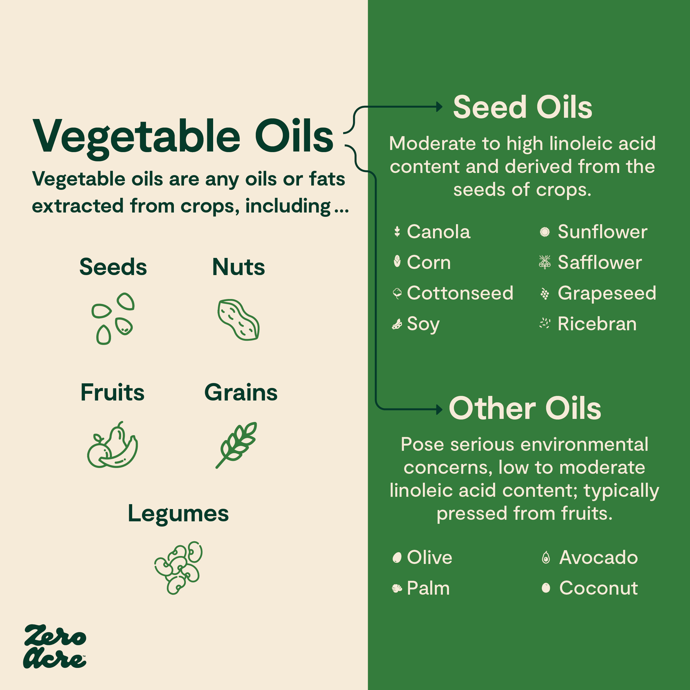 Best Seed Oil Alternatives for Cooking You Must Try