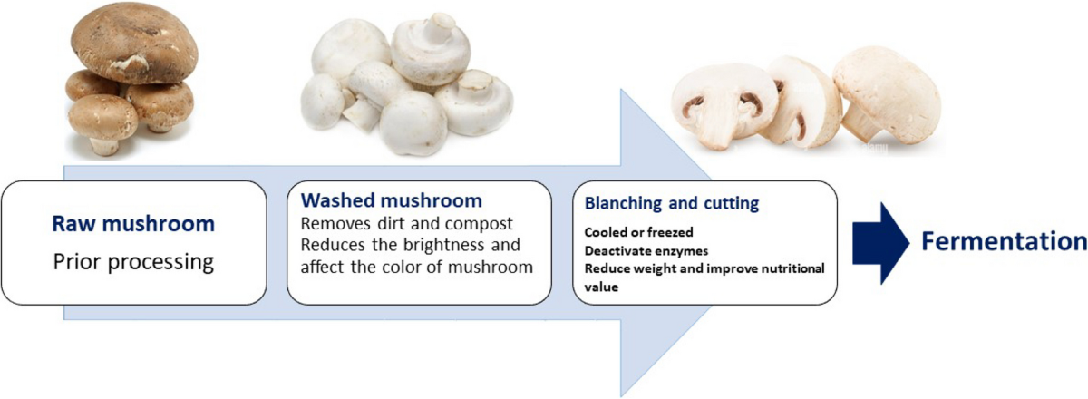 Are Marinated Mushrooms Good for You? Health Benefits Revealed