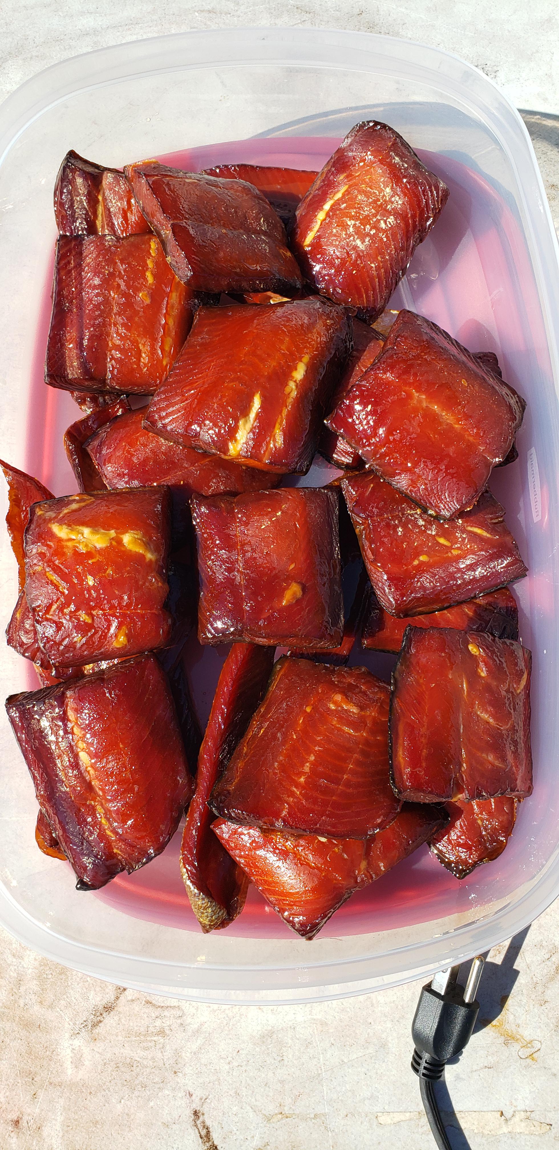 Little Chief Smoker Recipes Salmon with Alder Wood Smoking Tips