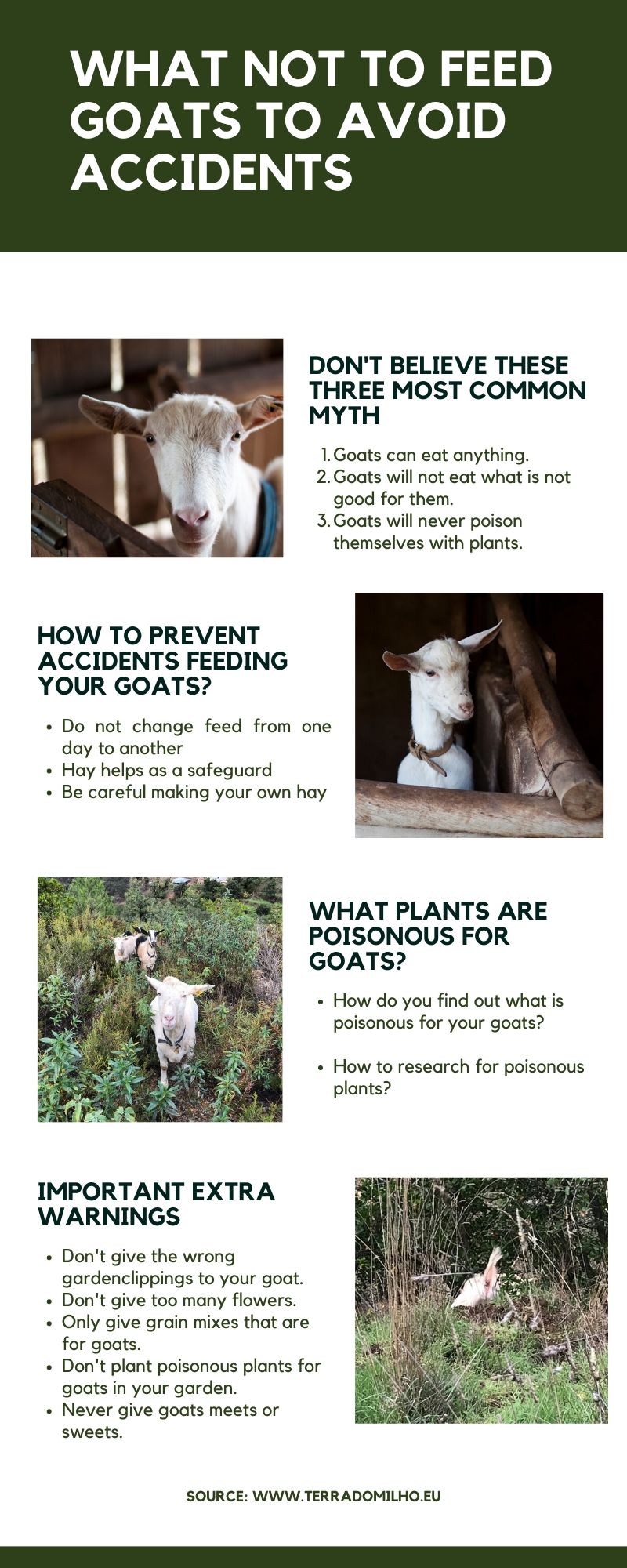Top List of Plants That Goats Will Not Eat – Safe & Easy