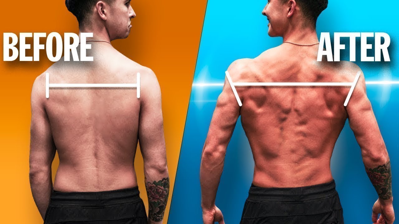 Build Back Muscle for Short People: Top Tips That Work!