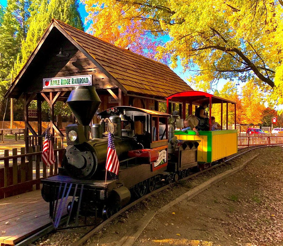 Experience Apple Hill Train Ride with Craft Fair & Family Fun