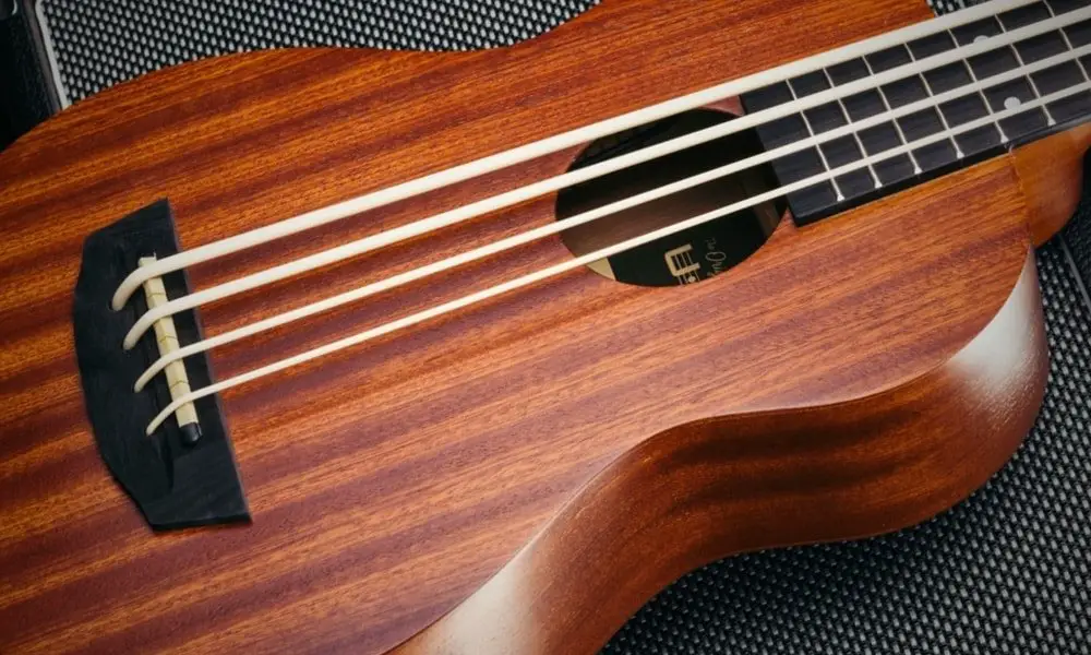 Uke Reviews: Honest Buyer Guides, Top Brands & Sound Quality