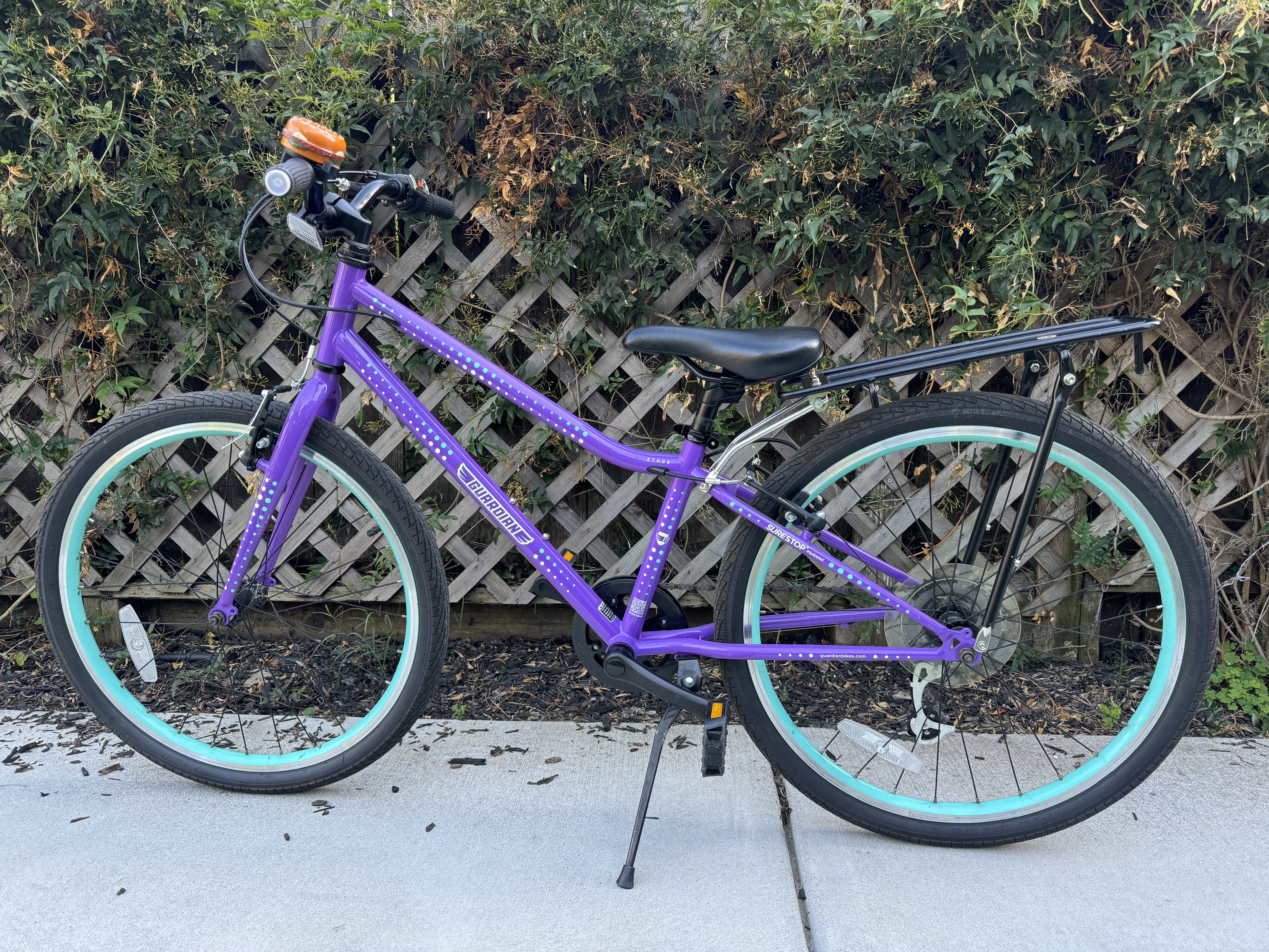 Guardian Bike Reviews: Lightweight Frame & SureStop Brakes