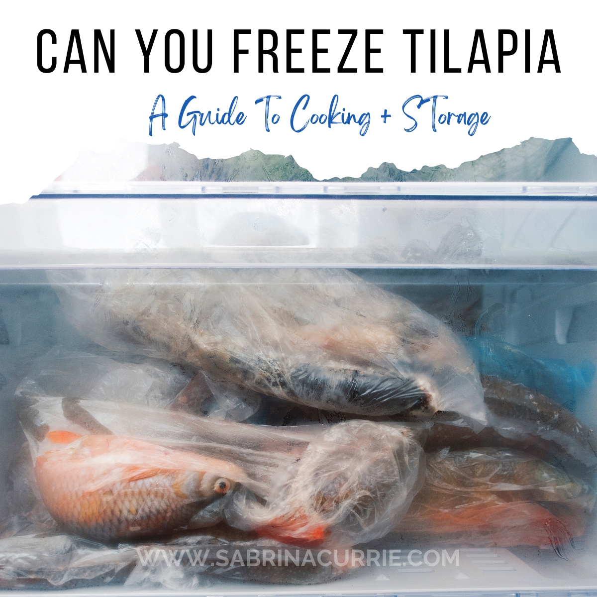 How Long Does Frozen Tilapia Last? Freshness Tips Inside