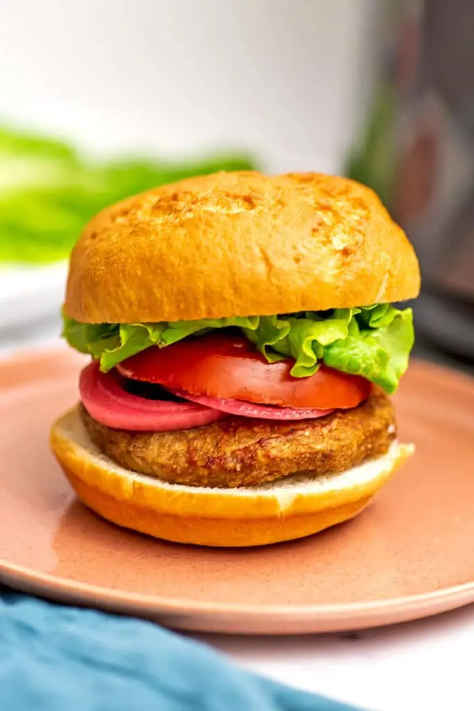 How to Cook Turkey Burger in Air Fryer Frozen - Easy & Fast