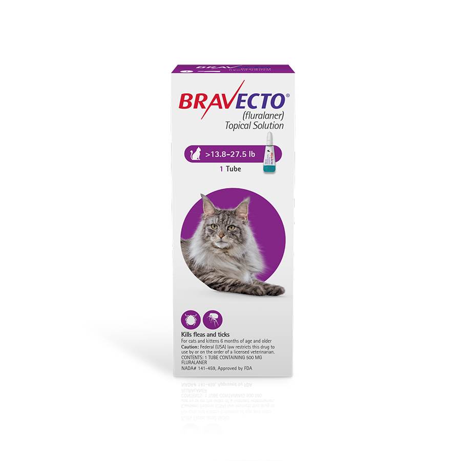 Bravecto Reviews Cats: Is Flea Protection Safe and Effective?