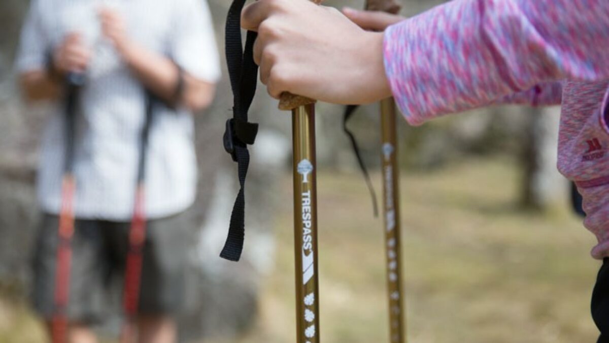 Balance Walking Poles: Boost Stability on Every Step