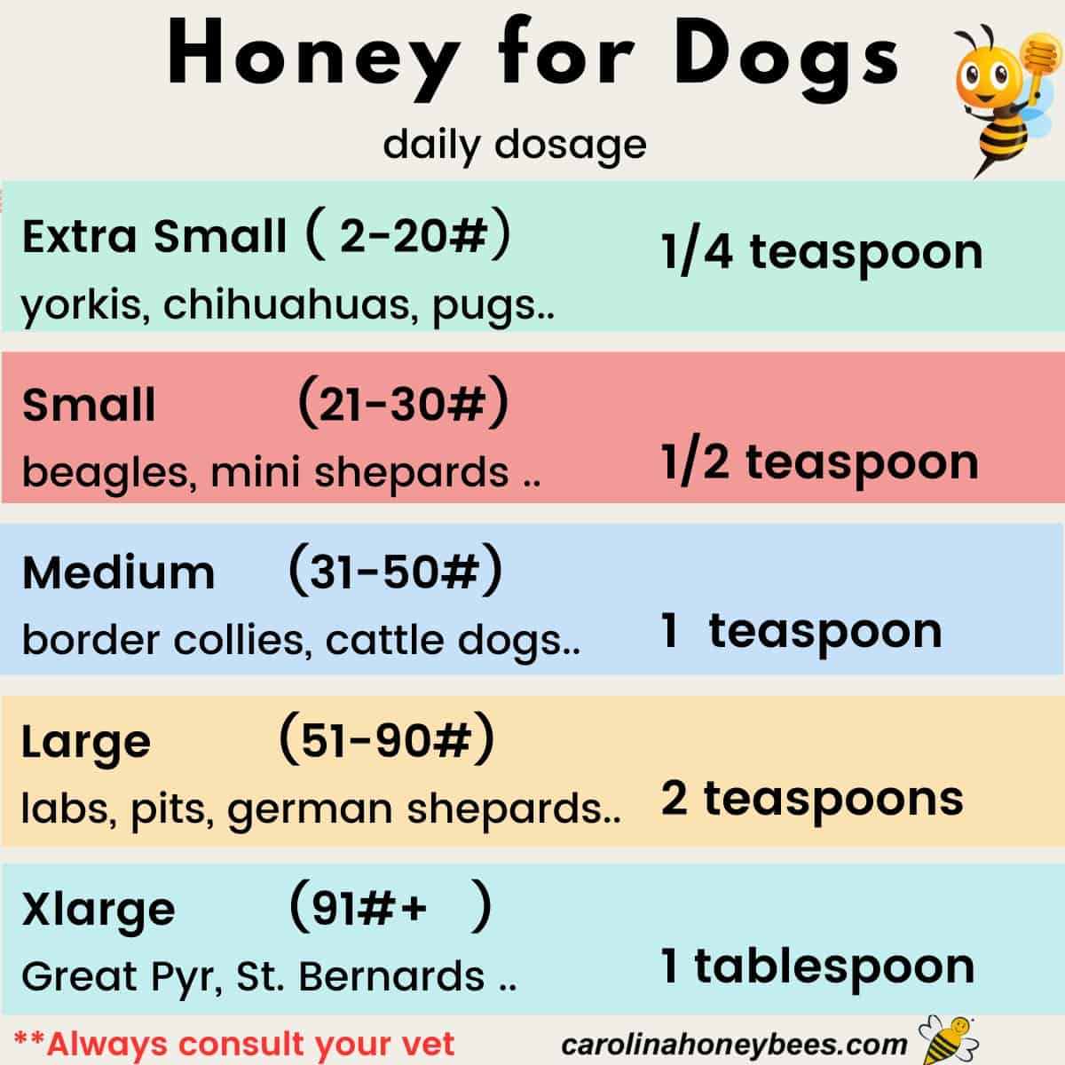 Raw Honey for Dogs Dosage Per Day: Safe Guide by Size