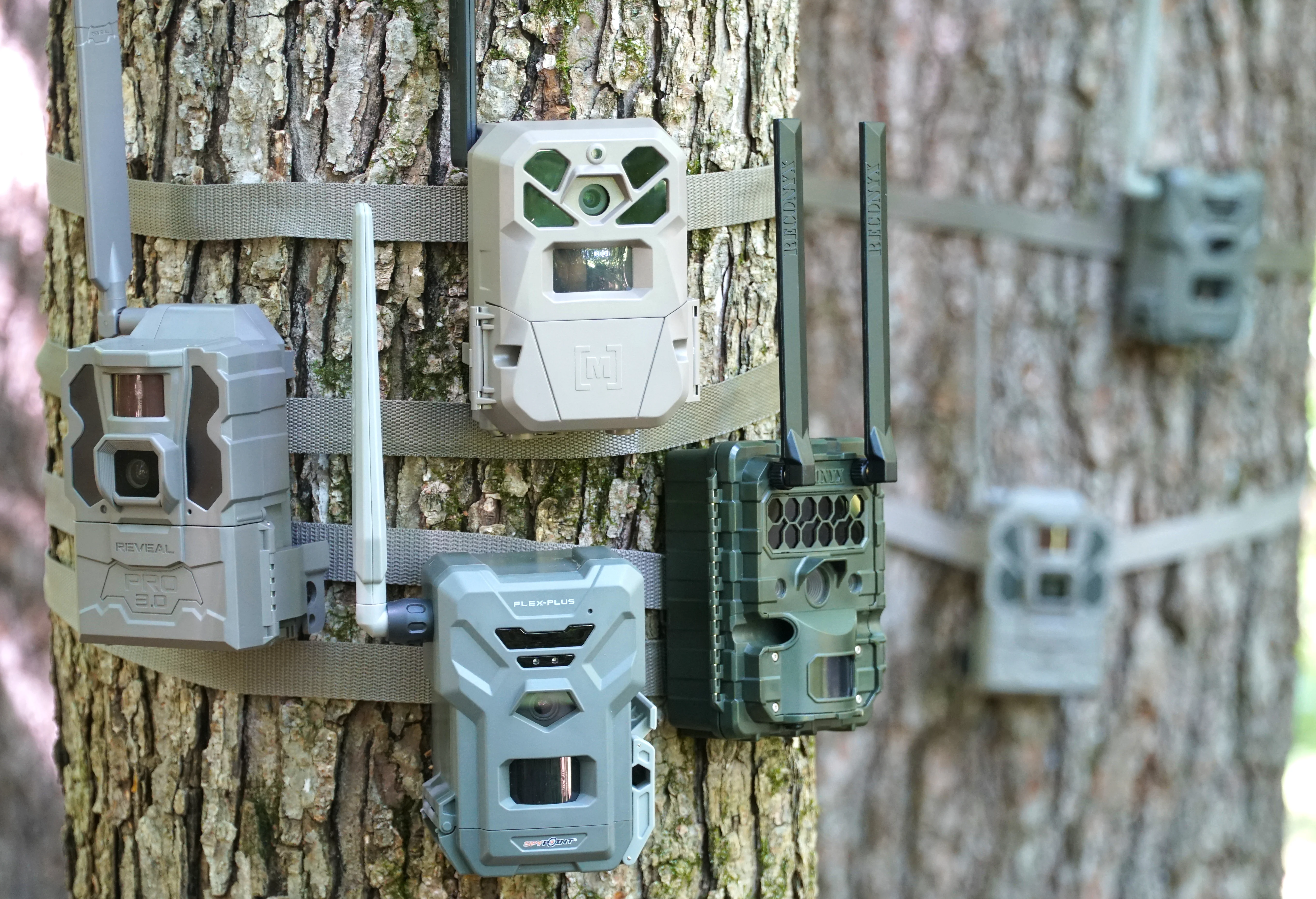 Review Trail Cameras: Top Picks & Buying Guide 2025