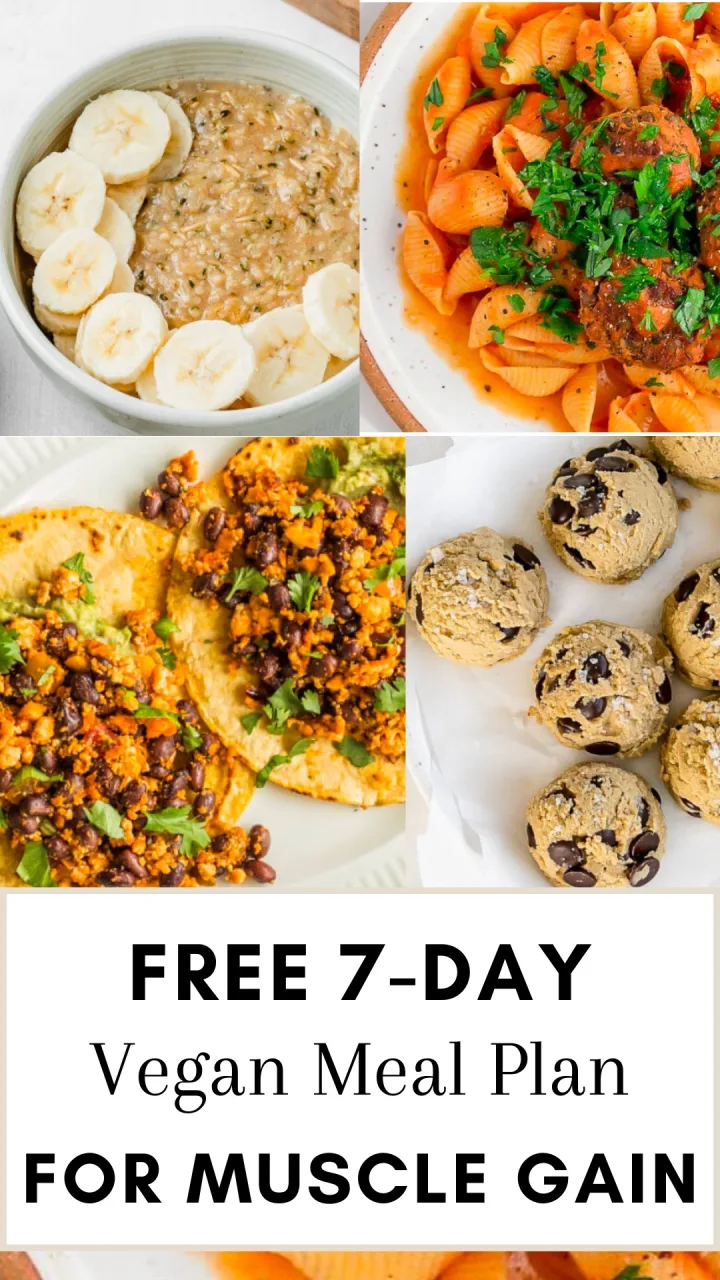Download Your Free High Protein Vegetarian Diet Plan PDF
