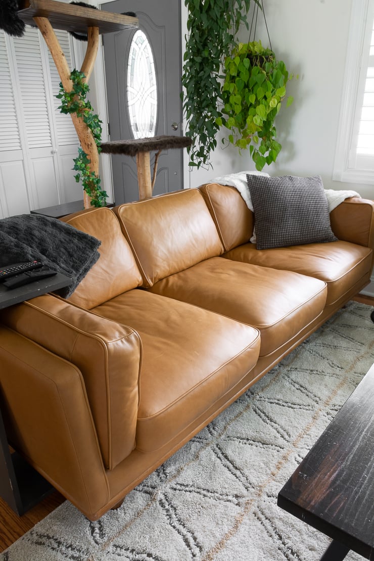 Top Article Couch Reviews: Best Picks & Honest Opinions