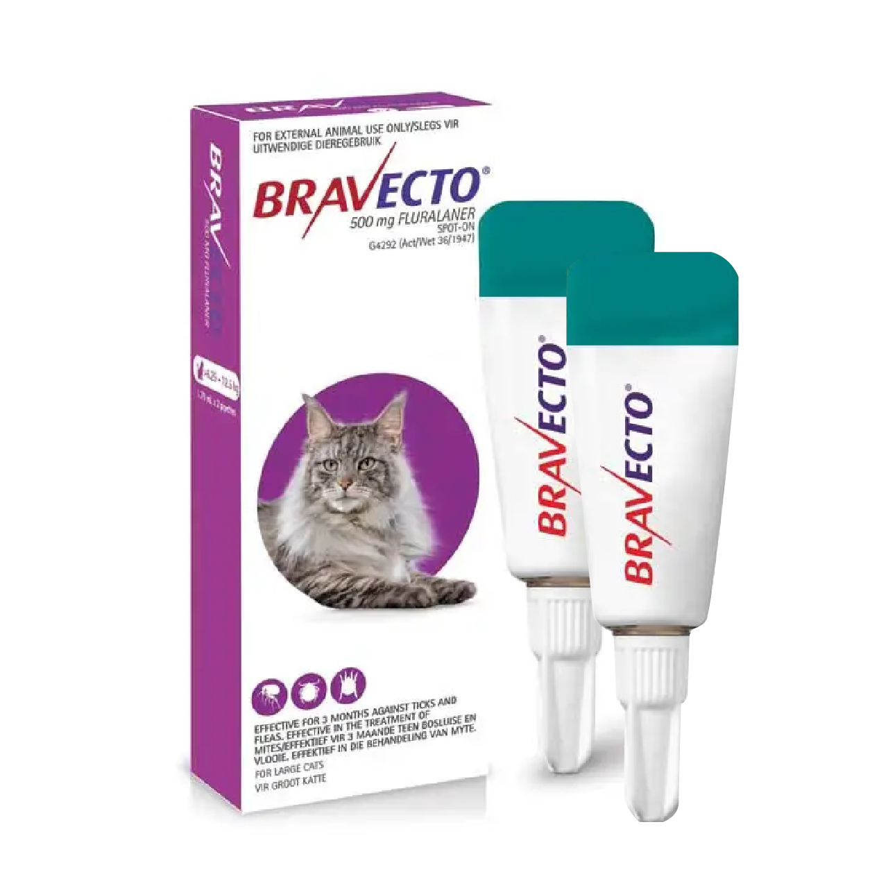 Bravecto Reviews Cats: Is Flea Protection Safe and Effective?