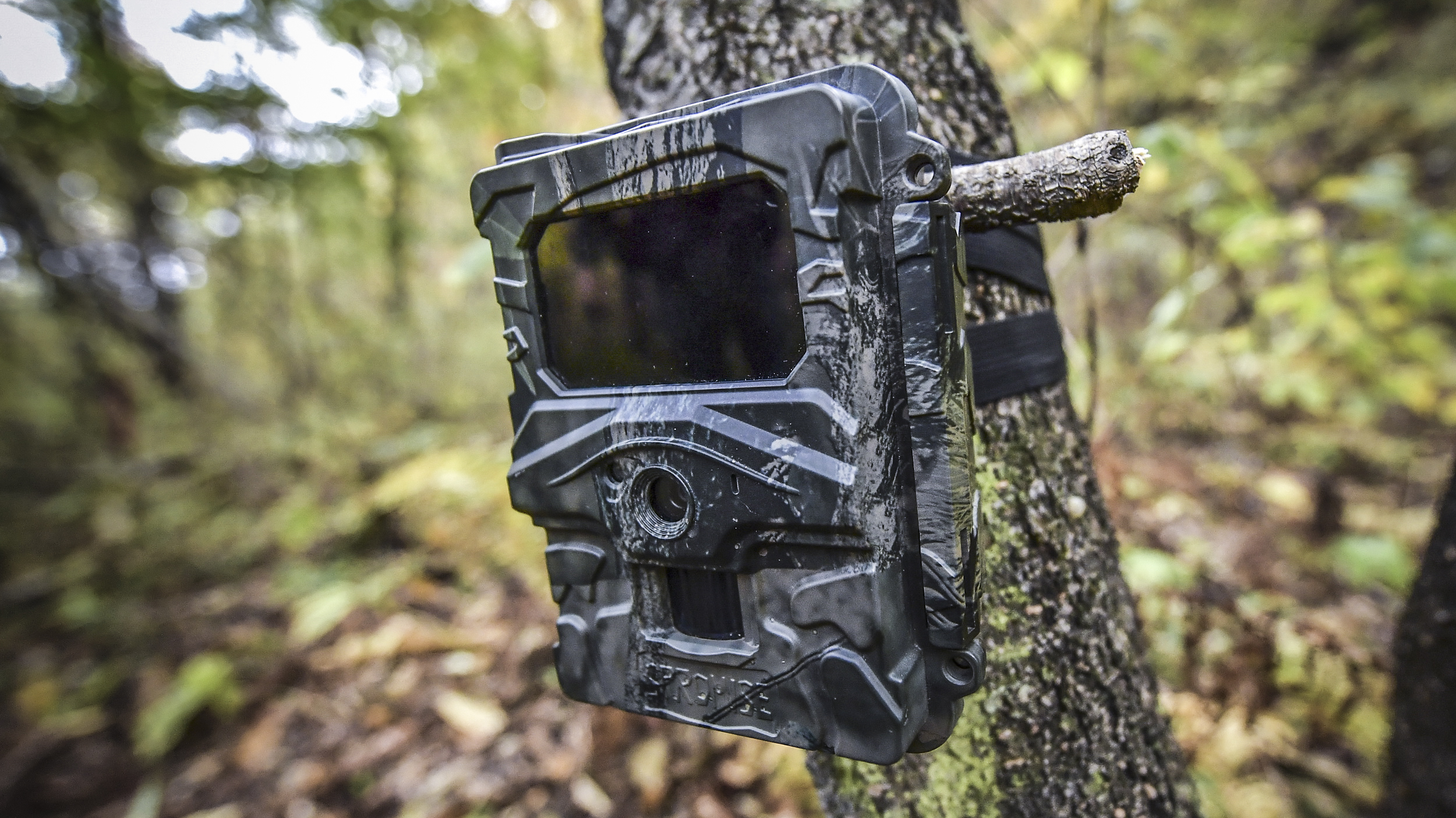 Review Game Cameras: Top Picks for 2025 Hunting Season