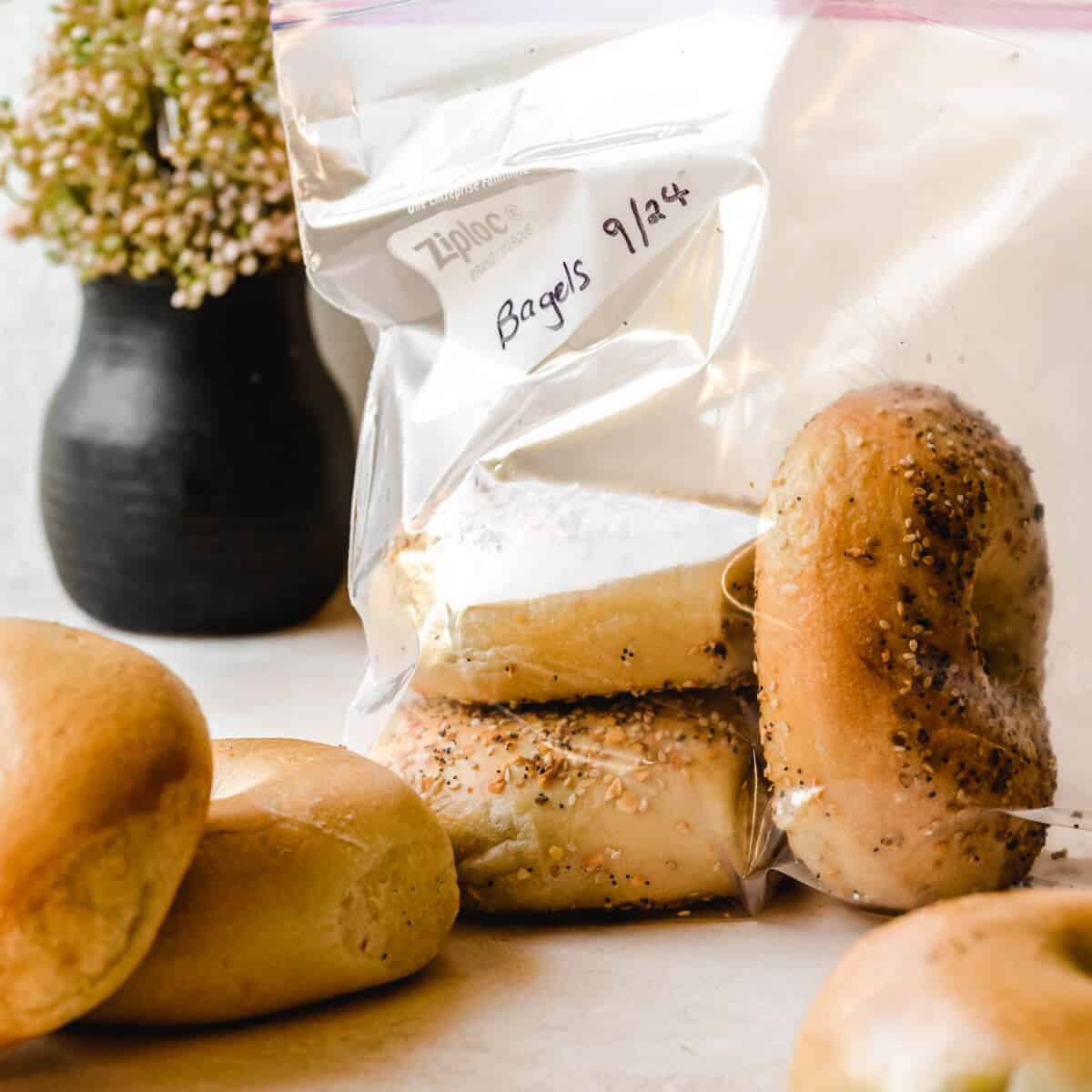 How Long Do Bagels Last in the Freezer? Tips for Freshness & Proper Wrapping