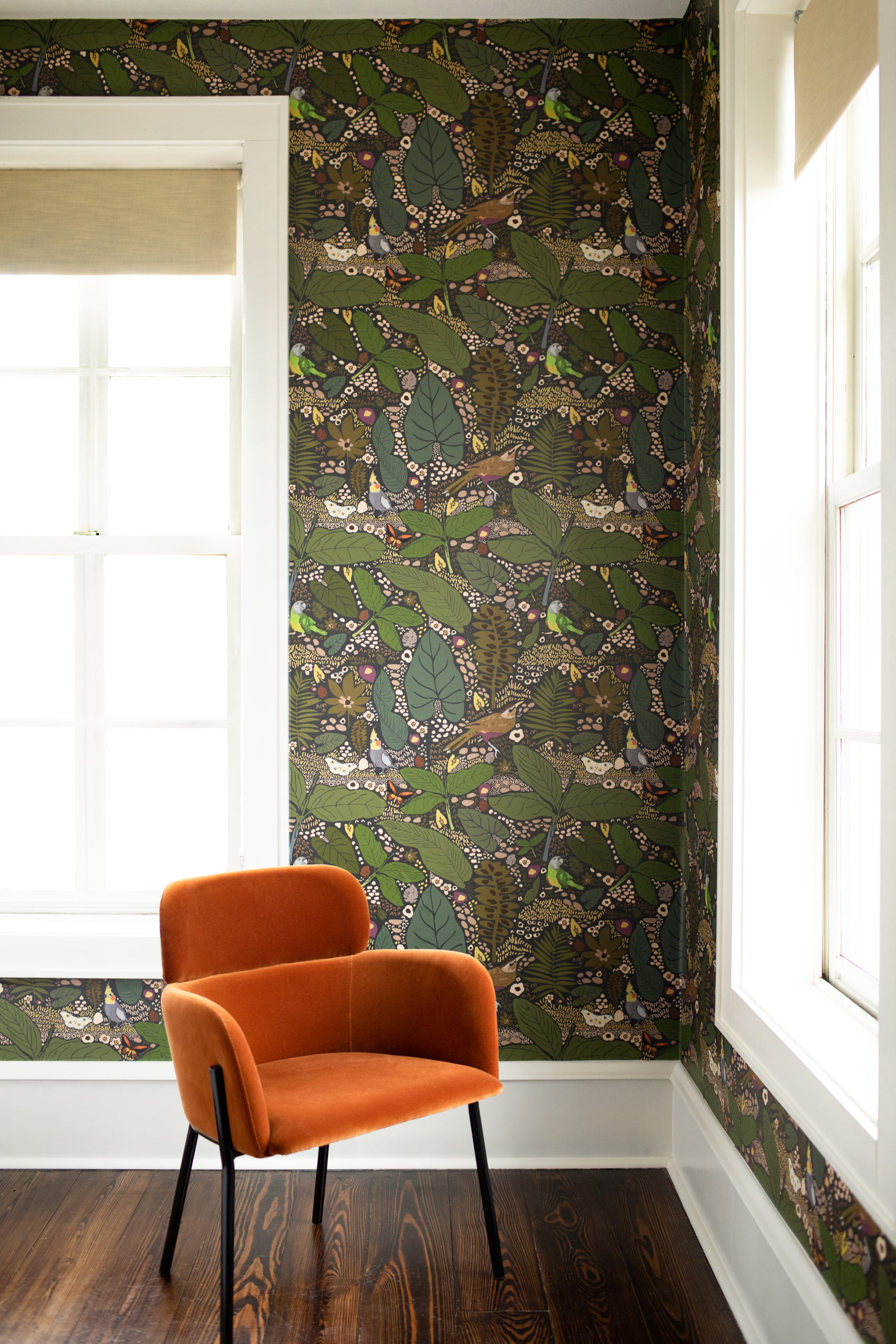 Chasing Paper Reviews: Your Ultimate Guide to Stylish, Easy Wall Makeovers