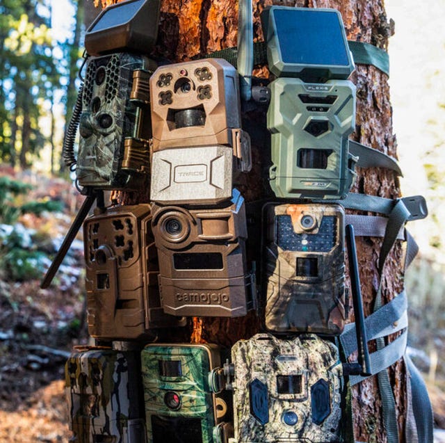Review Game Cameras: Top Picks for 2025 Hunting Season