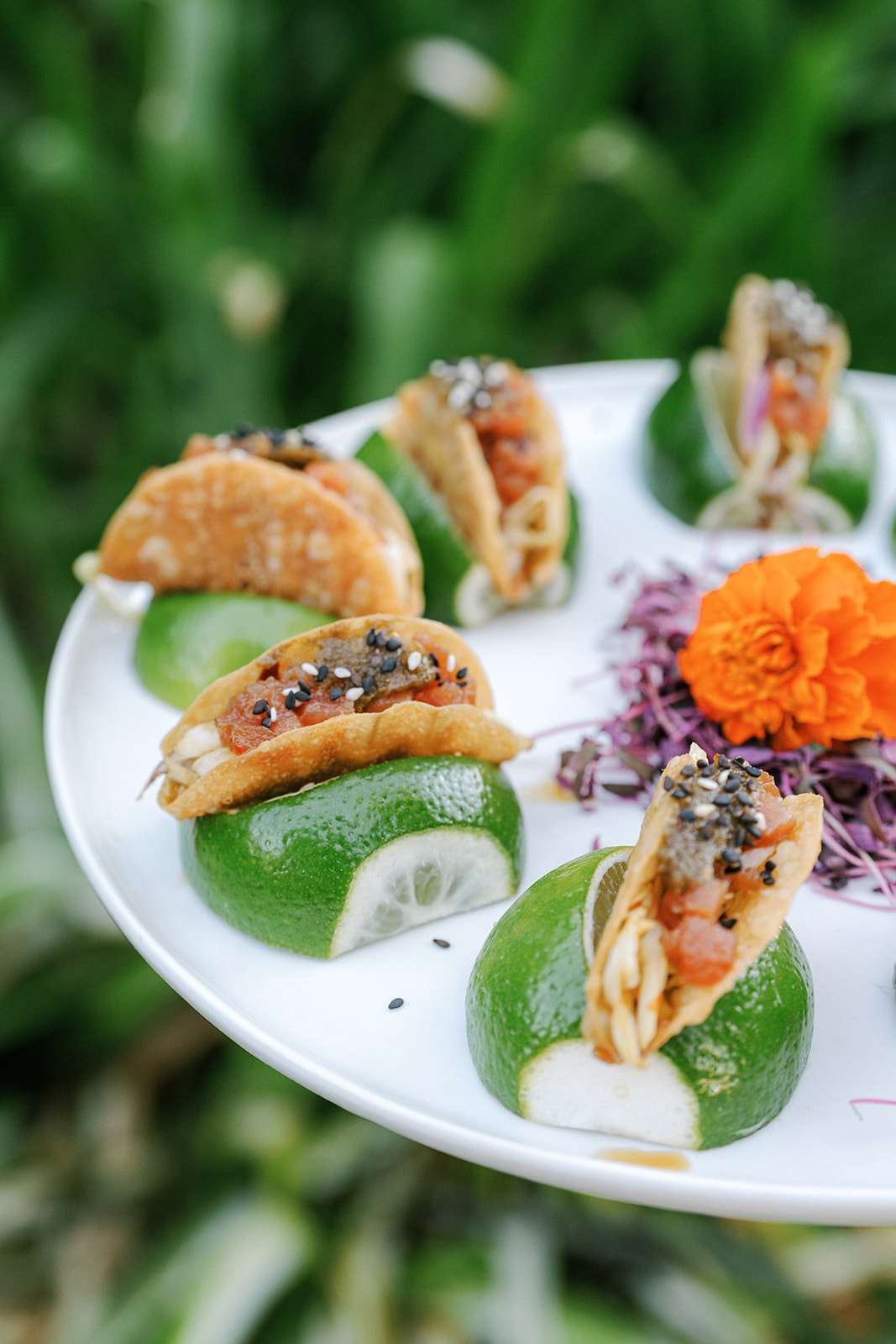 Top 10 Finger Foods for Funeral Reception Everyone Loves