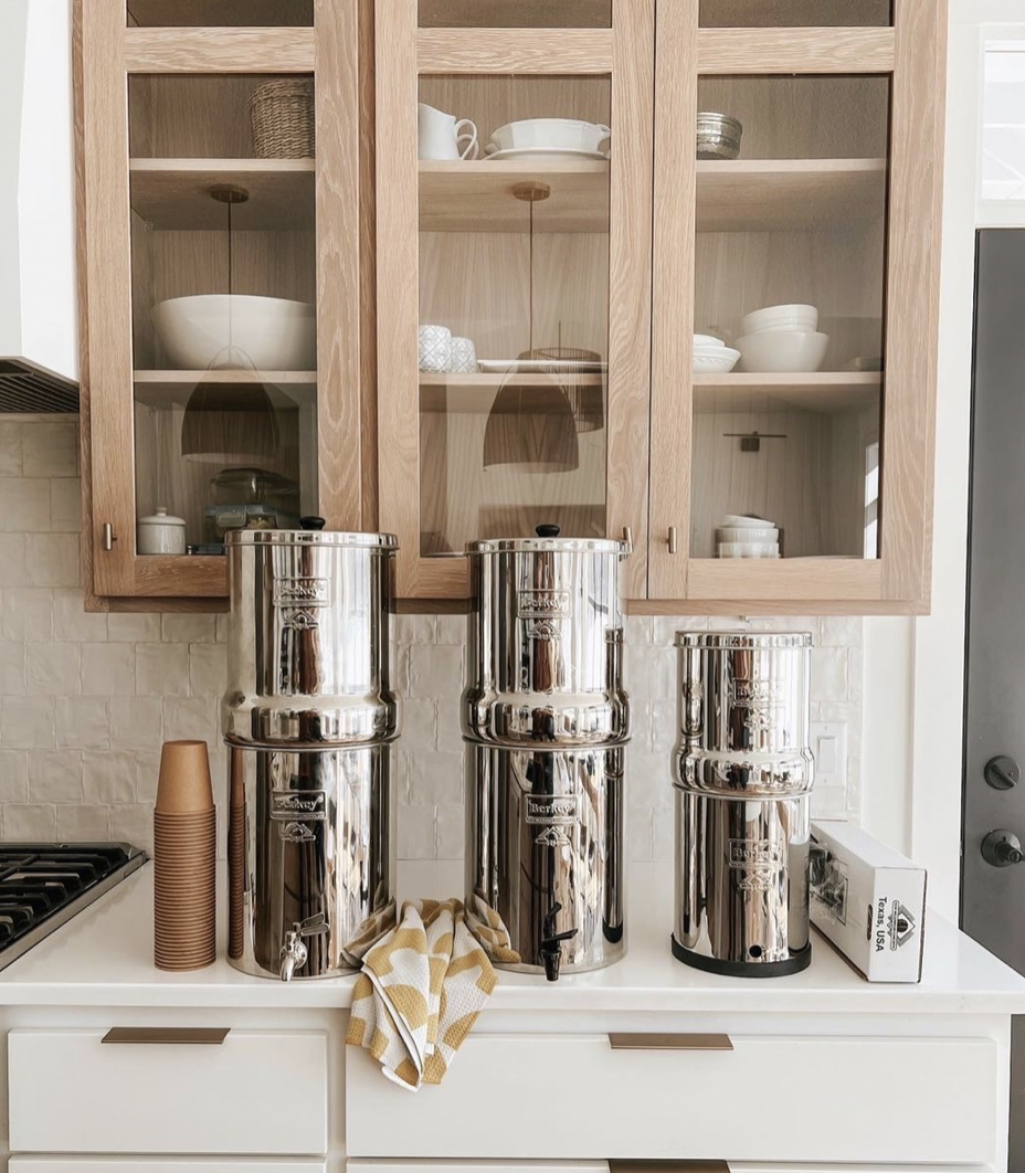 Big Berkey Review: Is It Worth the Hype in 2025?