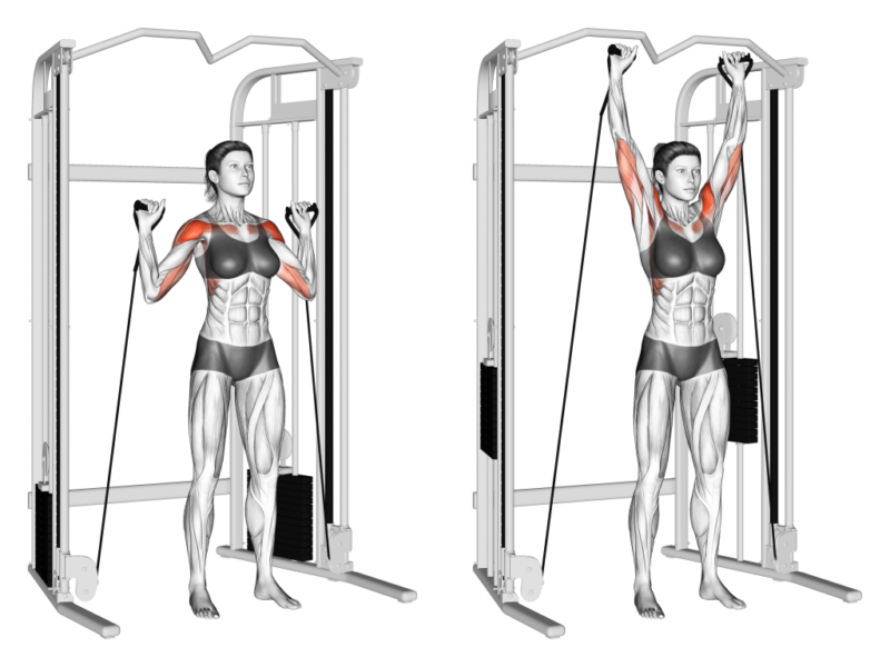 Cable Cross Shoulder Workout: Build Strong, Sculpted Shoulders