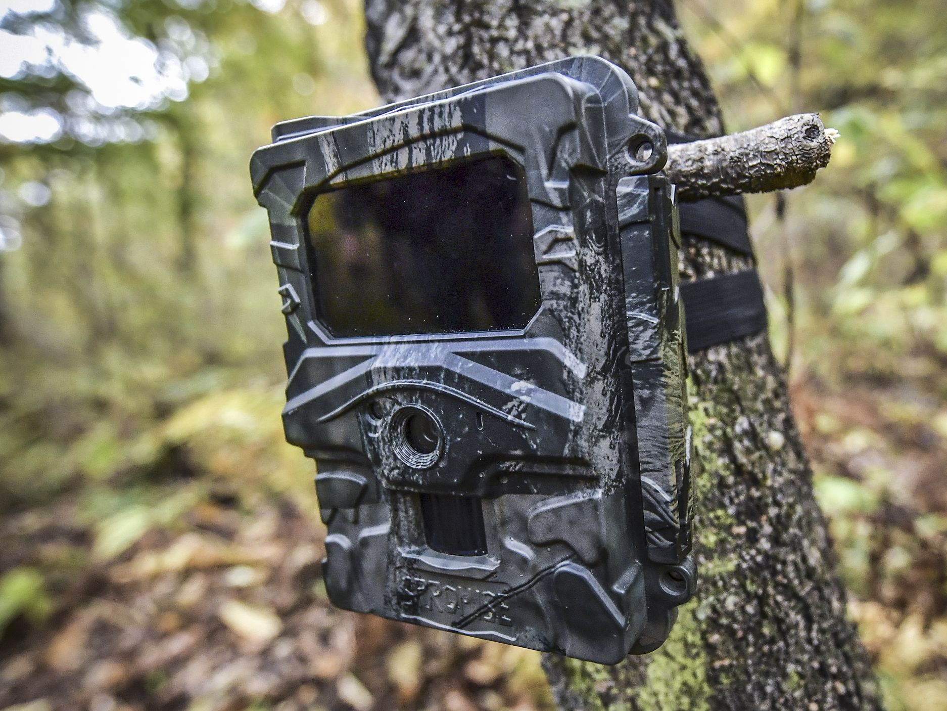 Best Trail Cam Review: Wildlife Photography Setup Guide