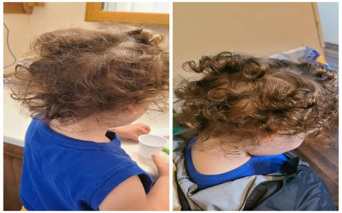 Hair Serum vs Leave In Conditioner: Frizz & Hydration Showdown