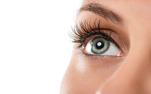 Cangro Eyelash Serum Results: Before & After Photos 2025