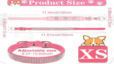 Best Bling Bling Collars for Dogs - Sparkle & Style 2025