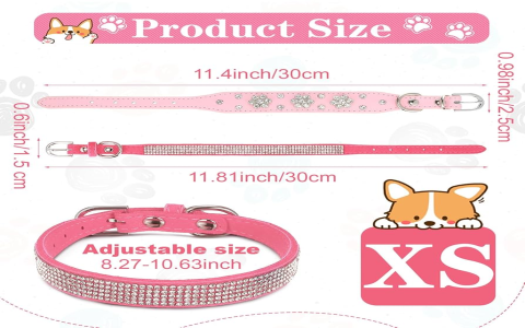 Best Bling Bling Collars for Dogs - Sparkle & Style 2025