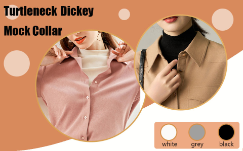 Professional Mock Turtleneck Dicky - Warm Collar Layer