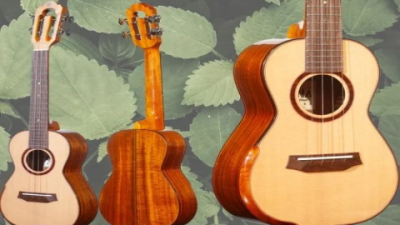 Ukulele Reviews: Top 7 Best Models for Every Budget 2025