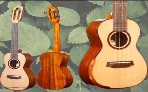 Ukulele Reviews: Top 7 Best Models for Every Budget 2025
