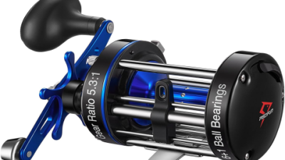 Piscifun Reel Review: Is This the Best Budget Reel of 2025?