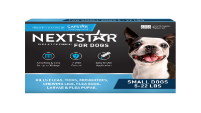 Bravecto Reviews for Cats: Real Owners Share Honest Results