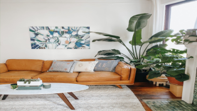 Article Couch Reviews: Real Comfort, Durability Insights Revealed