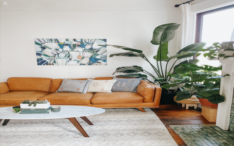 Article Couch Reviews: Real Comfort, Durability Insights Revealed
