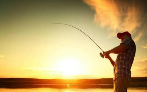 Ugly Stik GX2 Reviews: Is This the Toughest Rod Ever Made?