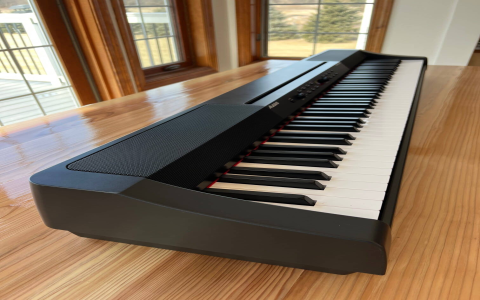Piano Keyboard Reviews Compared: Top Digital Pianos & Buying Guide