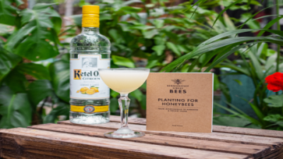 Ketel One Vodka Review: Is This Premium Spirit Worth the Hype?