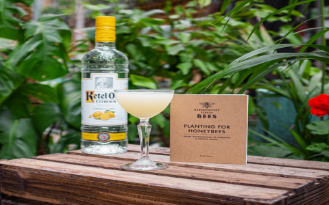 Ketel One Vodka Review: Is This Premium Spirit Worth the Hype?