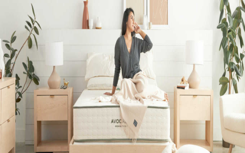 Prana bed reviews: Luxury comfort or back pain relief?