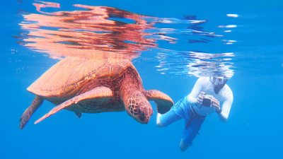 Snorkel Gear Reviews: Top 10 Must-Have Picks for 2025