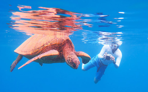 Snorkel Gear Reviews: Top 10 Must-Have Picks for 2025