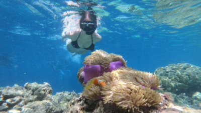 Cressi Snorkel Review: Is This the Ultimate Snorkel for You?