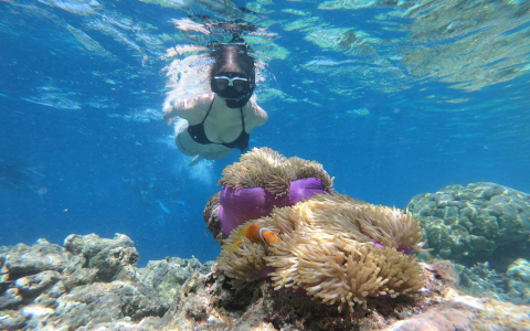 Cressi Snorkel Review: Is This the Ultimate Snorkel for You?